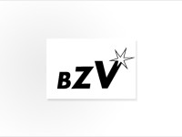 BZV GmbH